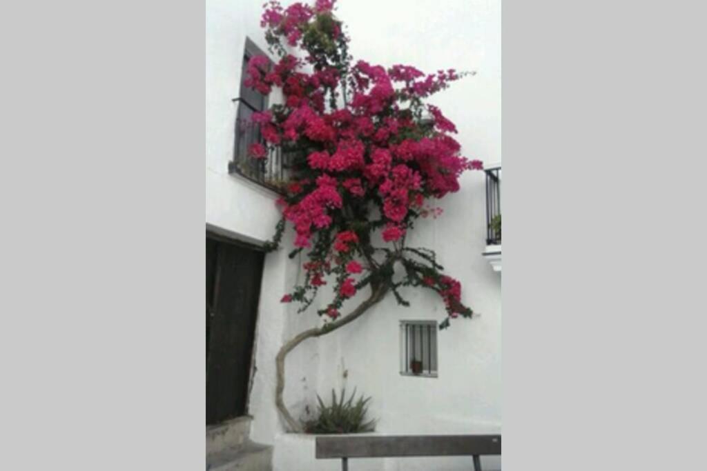 Albayalde Cielo Y Mar Apartman Vejer de la Frontera Kültér fotó